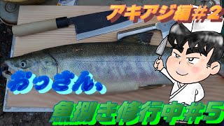 【男の料理】、おっさん、魚捌き修行中№5【アキアジ編№2】2匹目のアキアジも捌いてみました