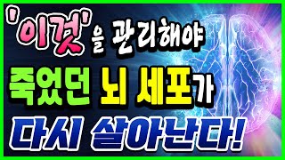 치매없이 뇌를 젊게 만드는 비법!｜장에 좋은 음식을 먹어야 뇌가 살아난다｜유산균 음식｜하늘건강법