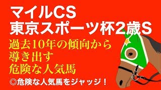 【 マイルCS  東京スポーツ杯2歳S 2019】 過去10年の傾向から導き出す危険な人気馬。