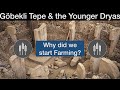 Gobekli Tepe & the Younger Dryas: why did we start farming?