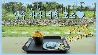 경주 바다 코스로 200프로 즐기기! 한적한 여행지부터 숙소까지💛 경주 n회차를 위한 신박한 코스 소개!