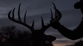 Bowhunting Oklahoma Whitetail