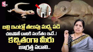 Lizards In Home | బల్లి ఇంట్లో తలుపు మధ్య పడి చనిపోతే.| balli shastram | Vijaya Sree | SumanTV