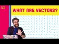 1.1 What is a Vector? - The Nature of Code
