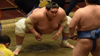 From wheelchair to ozeki: How Terunofuji won the cup