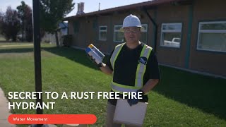 Why Are Fire Hydrants Different Colors?