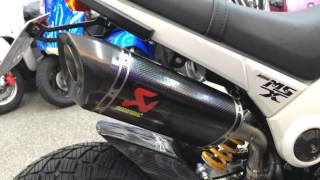 和興車業 HONDA MSX125 GROM Akrapovic 碳纖維蠍子管 聲音檔(無消音塞)