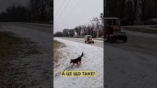 А ЦЕ ЩО ТАКЕ? #tiktok #прикол #automobile