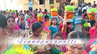 vennapusapalli Molakala punnami 2024 ll #vennapusapalli #rayalaseema #culture #YBKR