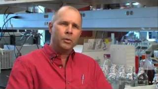 Walt Klimeki, DVM, PhD