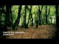 The British Resistance in Wales - A Film Made For Abergavenny Museum. Sep 2011