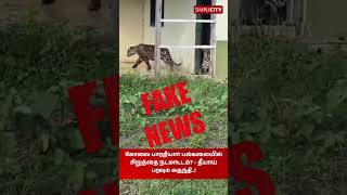 கோவை பாரதியார் பல்கலையில் சிறுத்தை நடமாட்டம்? - தீயாய் பரவும் வதந்தி..!