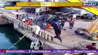 Whale Weighing 3 Ton Found at Krishnapatnam Port || Nellore