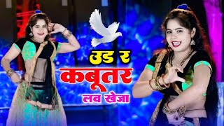 उड़ र कबूतर लव खेजा || Udar Kabootar Love Kheja || Veersing Banota | तेजी से वायरल हो रहा है ये गाना