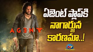 ఏజెంట్ ప్లాప్ కి నాగార్జున కారణమా..! Agent Akhil | Ntv ENT