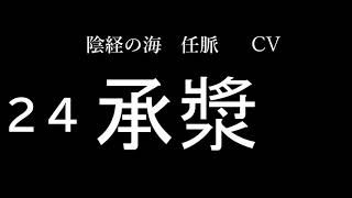 【中級者編】任脈のツボの覚え方～経絡・単語帳～