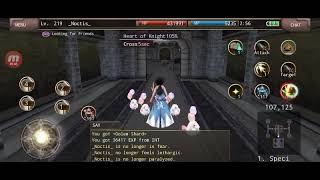 Iruna online! My Paladin Damage at Moss golem!