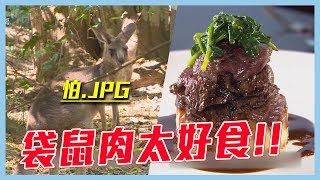 【Australia】Delicious Kangaroo 😋😋