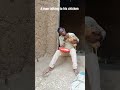 a man talking to his chicken comedy funnyvideo laugh nyaxocomedy nsabi bijiyobija