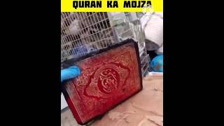 Quran Pak Ka Mojza | Miracle Of Quran #viral #ytshorts #islam