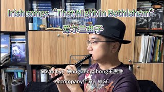 ”Whistle“Irish songs“That Night in Bethlehem”（Cover by ：WangGengChong王赓翀） 爱尔兰曲子17