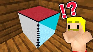 【マイクラ】あなたはダマされている！？簡単トリックアート！#shorts