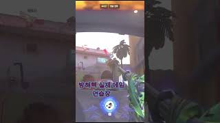 방해핵 훈련장 연습 #방해핵#HECKDISTURB#HECK_DISTURB#핵#fps#overwatch