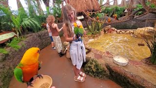 Costa Maya Mexico Aviarius Bird Sanctuary an Affordable Family Excursion at the Cruise Port.