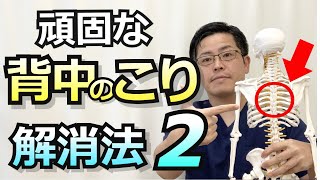 長引く背中のツラさはココにも原因が？背中のこり解消法②｜兵庫県神戸市垂水区okada鍼灸整骨院