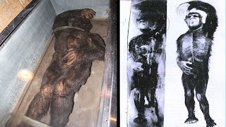 EXTINCT FROZEN CREATURE – 9 Ancient Creatures Found in Ice – Documentary