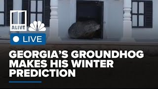 Georgia Groundhog Day prediction by General Beauregard Lee live stream