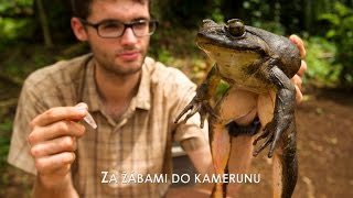 Za žábami do Kamerunu TRAILER