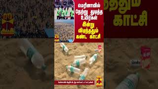 மெரினாவில் நேற்று துடித்த உயிர்கள்... இன்று விடிந்ததும் கண்ட காட்சி