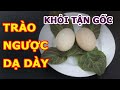 💥Khỏi TẬN GỐC Trào Ngược Dạ Dày với Trứng, Lá Mơ Cách Quá Hay Này l Sức Khoẻ Việt 247