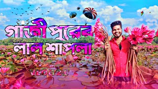 গাজীপুরের কাপাসিয়ায় লাল শাপলা বিল//A beautiful place in Ghazipur//Biplob hossin//Vlog 21//2022