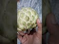 നിങ്ങൾക്ക് ഇതിൽ ഏത് fruit ആണ് ഇഷ്ടം fruits shorts song kiwi chikku healthy food tasty