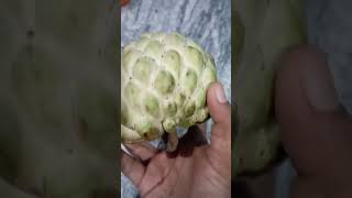 നിങ്ങൾക്ക് ഇതിൽ ഏത് #fruit ആണ് ഇഷ്ടം?#fruits #shorts #song #kiwi #chikku ##healthy #food #tasty