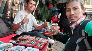 LAPAK BATU AKIK SPESIALIS BACAN DOKO || PASAR BATU AKIK RAWABENING