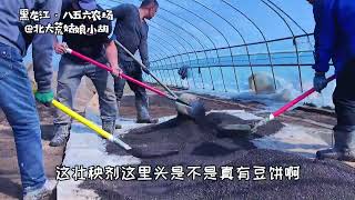 北大荒种300亩水稻 需要粉五个大棚的苗床土#vlog #记录真实生活 #生活 #东北 #日常