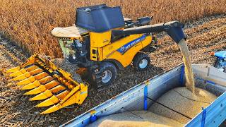 CORN HARVEST 2024 NEW HOLLAND CR REVELATION