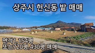 (231122)상주시 헌신동 지목'과수원'매매. 면적1154평.농림지역 매매가6억500만원