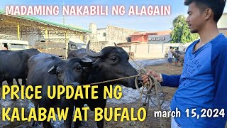 Price Update ng mga Bufalo at kalabaw Padre Garcia Batangas