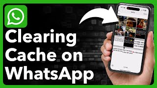 How To Clear WhatsApp Cache On iPhone