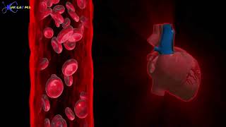 How The Blood Pressure Mechanism Works: systolic and diastolic blood pressure #bp