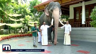 ബിസിനസ് തിരക്കുകൾക്കിടയിലും പ്രിയമേറിയ ആനക്കമ്പം; കാണാം ഗോപു നന്തിലത്തിന്റെ ആന സ്നേഹം