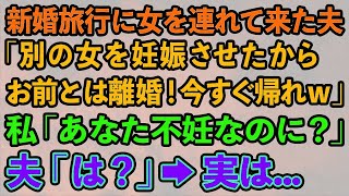 【スカッとする話】新婚旅行に女を連れて来た夫「別の女を妊娠させたからお前とは離婚！今すぐ帰れｗ」私「あなた不妊なのに？」夫「は？」→実は   【修羅場】