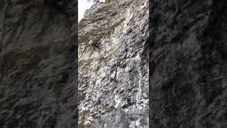 The Bewildering Minute (5.12c) - American Fork Canyon