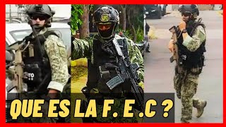 QUE ES LA FUERZA ESPECIAL CONJUNTA (F.E.C) DEL EJÉRCITO MEXICANO 🦇🇲🇽