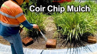 How to mulch your garden with Coir Chip - Long lasting expandable mulch