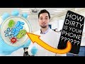 How Much Bacteria Is On Your Phone | LAB EXPERIMENT REVEALED | How To Disinfect Phone | 2018